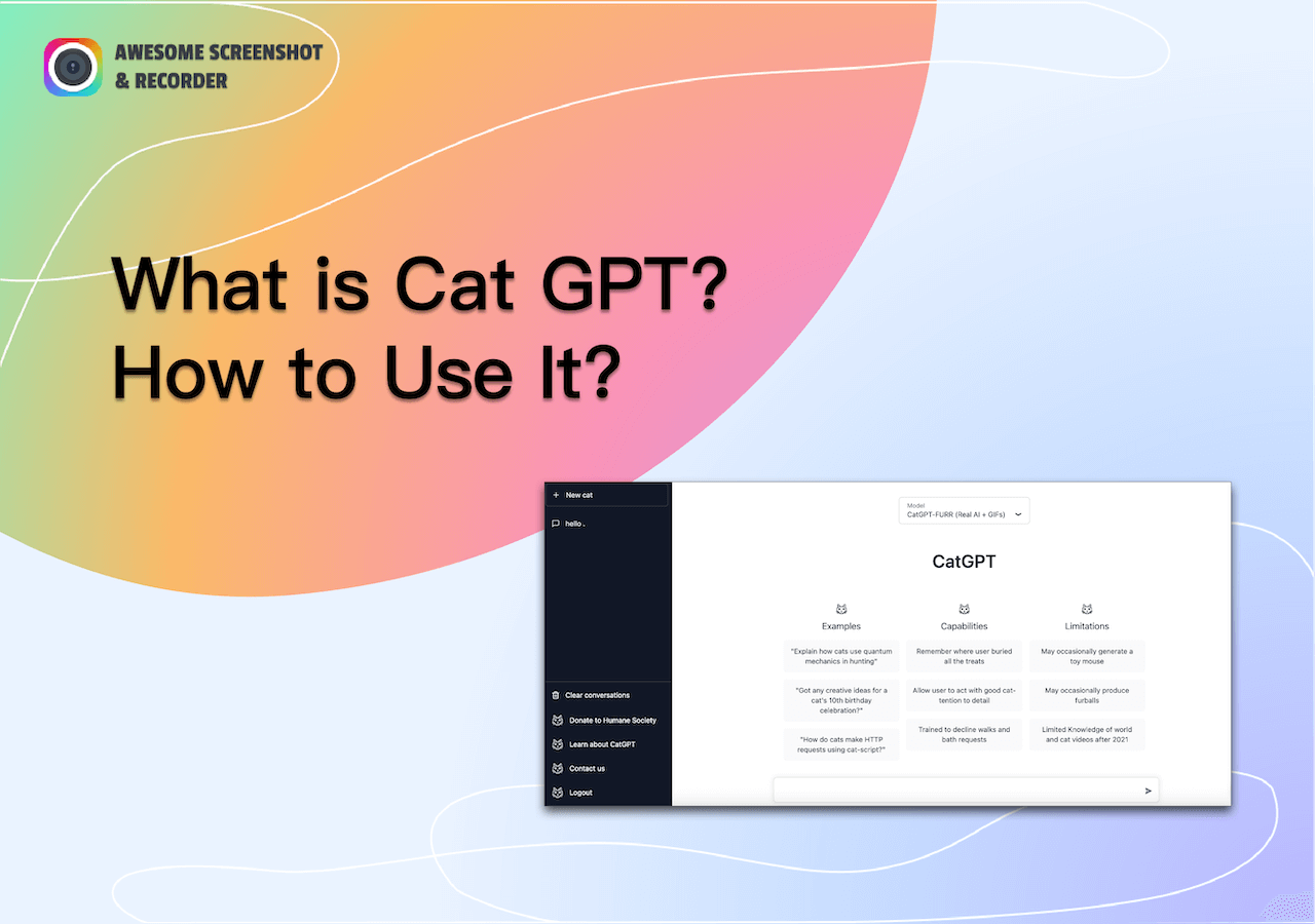 Cat GPT｜A Feline Chatbot That Responds to All Questions With Meows